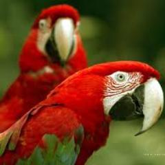 I say what you say. Retweet and Followback #TeamFollowback