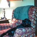 chris franks - @CWfranks - Twitter