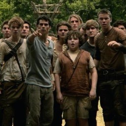 Just some daily struggles in the life of a gladder. 
Maze Runner Fans 9.19.14
The Scorch Trial 9.18.15