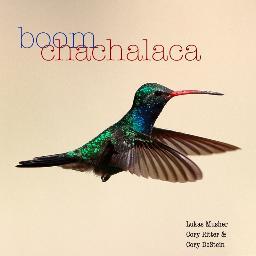 BoomChachalaca's profile picture. Boom Chachalaca Birding Blog: Birding news, highlights, tips and photos for the American Birder. Lukas Musher Cory Ritter Cory DeStein