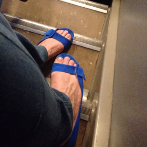 Caralice's profile picture. 