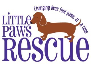 We rescue Dachshunds in need, primarily on the east coast of the US. Please help us ensure that no doxie is left behind!
