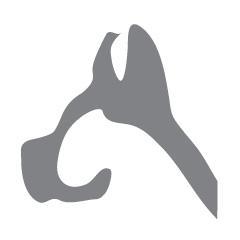 Where BOLD and UNUSUAL DOG stories live online. Dog Lover & greatly support No-Kill Shelters. Thanks for your follows!