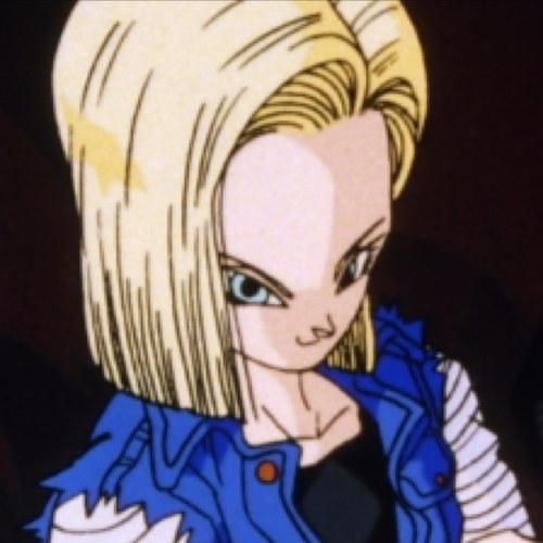 I am android 18 a mother and a wife. I was a android until krillen wished me a human. My twin brother is android 17.
