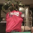 Richard Leaf - @Richard_Leaf69 - Twitter