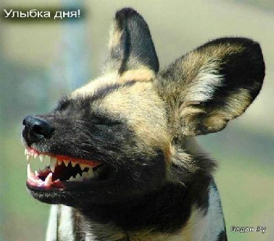 _controlp's profile picture. 