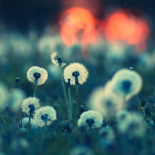 wiinsonw's profile picture. 