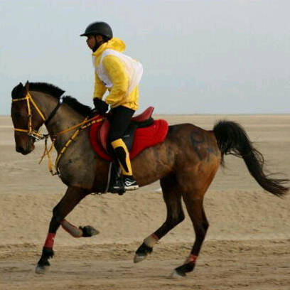 bo_3bdulla49's profile picture. follow me in instgram k__aldoseri