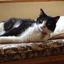 Elsa Williamson - @ElsaWilliamso11 - Twitter