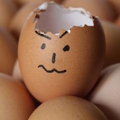 Half Egg. Half Gambler. Yolk's on you.