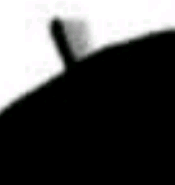 shotgan999's profile picture. パズドラ EXVSFB バトオペ