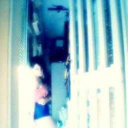 TeamoGordoO16.O6.O13♥