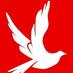 Newton Athletic (@newtonath_doves) Twitter profile photo Newton Athletic (@newtonath_doves) Twitter profile photo