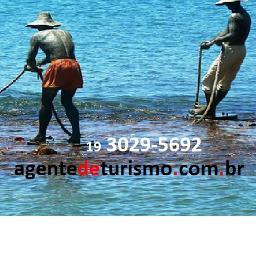 (19)3029-5692 http://t.co/nwCdzJMPbD