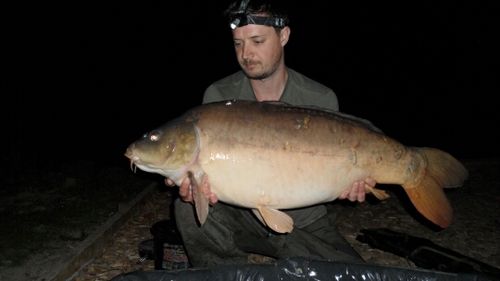 uptonvil's profile picture. 