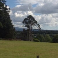 TourinHouseGdns (@tourinhousegdns) Twitter profile photo