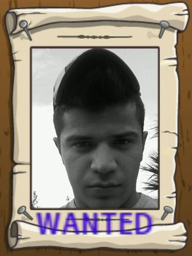 GiampieroGolia's profile picture. 