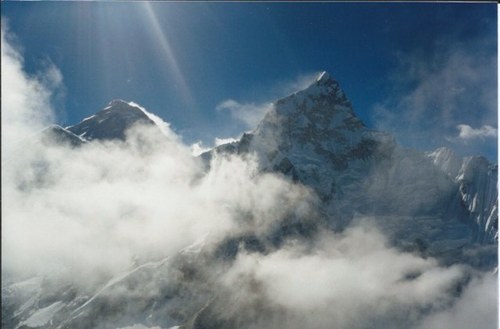 nina_turner's profile picture. 