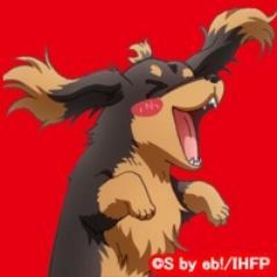 春海 和人 Amamiyarindo Twitter 春海 和人 Amamiyarindo Twitter