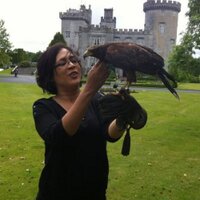 Aneesha Baig (@aneeshabaig) 's Twitter Profile