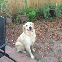 CameronUrtz (@cameronlburtz) 's Twitter Profile Photo