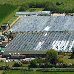 Grow edible plants & sell wholesale, nursery shop & mail order