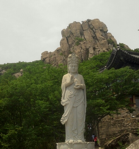 csd3827's profile picture. 열심히  일하며 정직하게 사는 사람들이  행복하게 살수있는 세상이오기를 ,