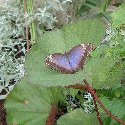 JJenks7's profile picture. Amateur photography