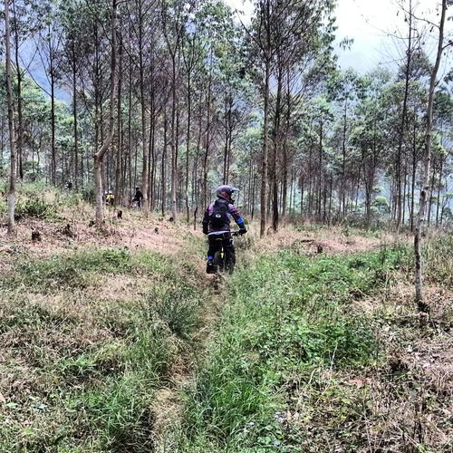 dblackfly07's profile picture. 