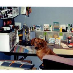 mdog1770's profile picture. Enjoying retired life in Colorado with all my grandchildren.  Couldn't be more blessed.  Became an essential oil addict, too!