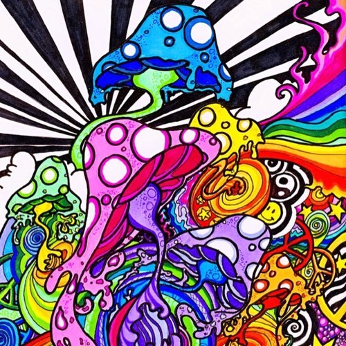 Official twitter for trippy drug talk #StayTrippy