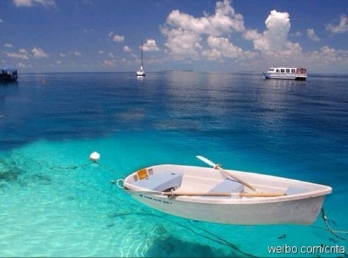 NormanHon's profile picture. In good faith especially when uncertain