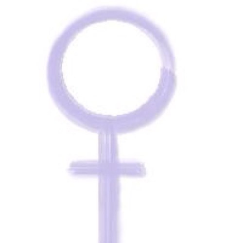 We are a Saskatoon volunteer run group that organizes Take Back the Night, Dec 6th Memorial and an International Women's Day event ever year!
