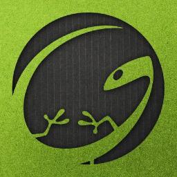 geckonetworks Profile Picture