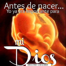 #Fan_artistico soy fan de todos los artista amo ala música ♥@fan_artistico gracias Dios por todo