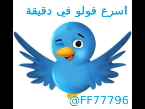 FF77796's profile picture. اسرع فولو في دقيقة -1تابعني -2سوي رتويت لي تغرداتي -3اضف من عمل رتويت -4 دقيقة يجي متابعين@FF77796