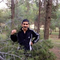 Mahmut Bingül (@bingulbingl) 's Twitter Profile