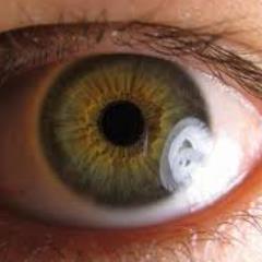 Soldado del 13. Pelotón 451 en la rebelión. Mis ojos me diferencian de mi hermana