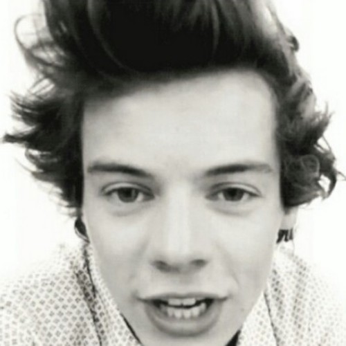 Hey hi you just got a free follow from @carrotyharry please follow her not me bye ily