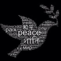 jodi burkhart (@jodiab) 's Twitter Profile