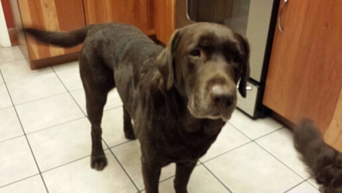 TommyLentz's profile picture. 