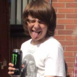 Hey, It seems you have found My twitter Page... So let me tell you about myself... I love Minecraft, I'm a gamer and I have no social life so... yeah!