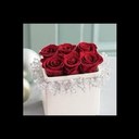 عطر المحبة (@0531840192) Twitter