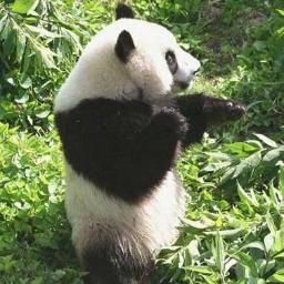 rotring2013's profile picture. hoca dışında herkese ayarım,sayarım.hocaya sayana kayarım.birde türküm elhamdürillah...