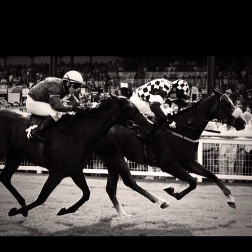 Racing advisory and Sports betting advice centre.