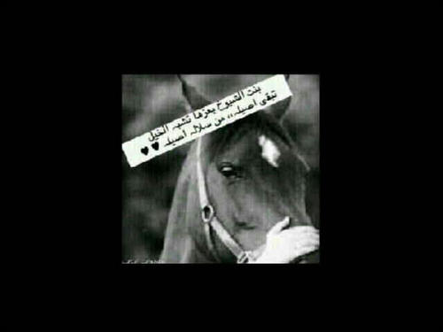مهہــــره ولا يــقـدر لـہـآ آلـــف خـــيآل ~ عشــآقـہـآ وآجــد ولا حــد'ن' فتنــہـآ☆