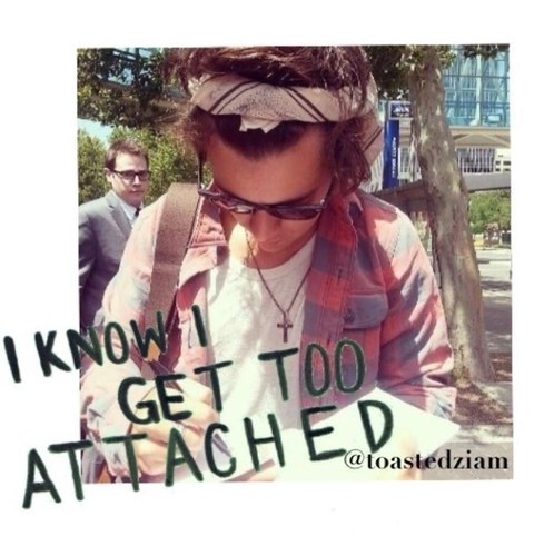FOLLOW @toastedziam BC GOAL. IF YOU ALREADY DO, THANKKS