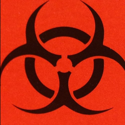 bugzapper55's profile picture. 