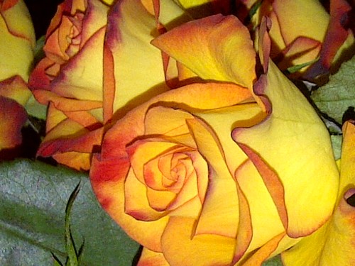 CommisionArt's profile picture. commision artist, own buisness