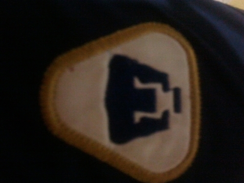 MEXICO, PUMAS, UNIVERSIDAD, GOOOOYA, GOOOOOYA